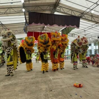 Lion Dance Performance
